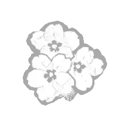 offering_fresh_primrose_blossom icon